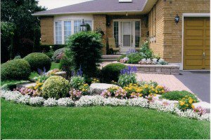 Curb Appeal dlvr.it/M0sjJ6