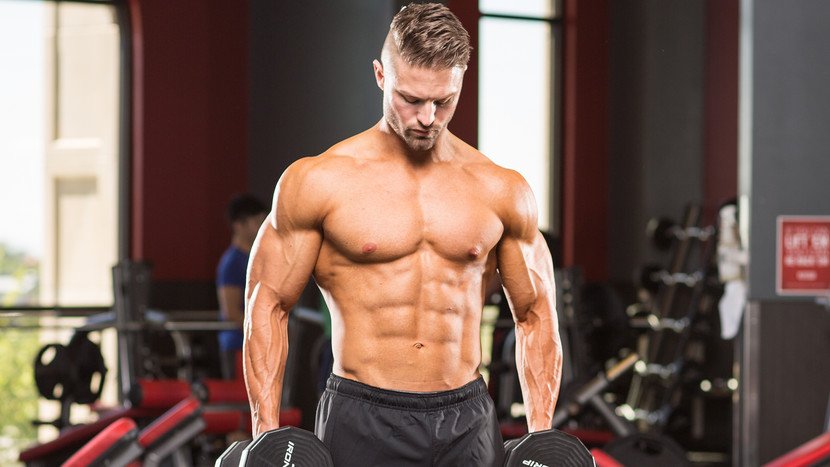 VShapeBody's tweet image. No-Meat #Muscle: 4 Rules For Building Lean Mass On A #VegetarianDiet buff.ly/2bi9WD0 by @ShannonCFitness