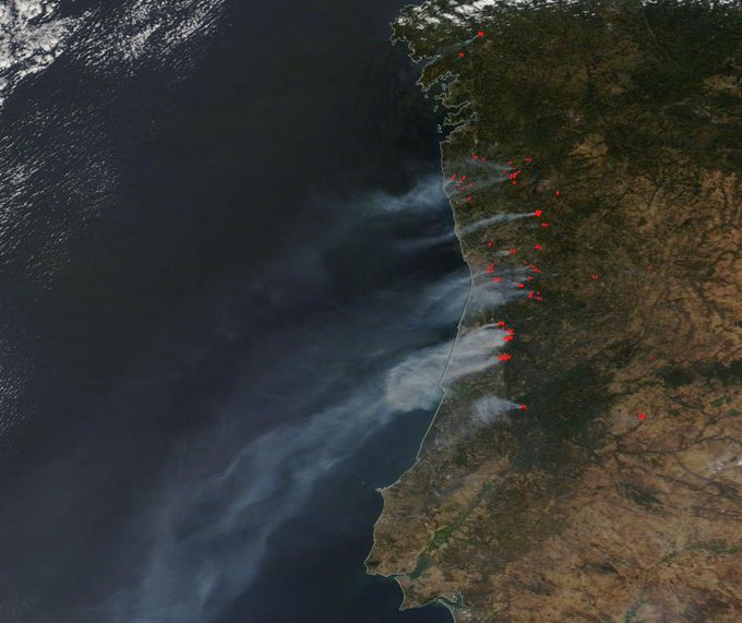 Ver imagen en Twitter