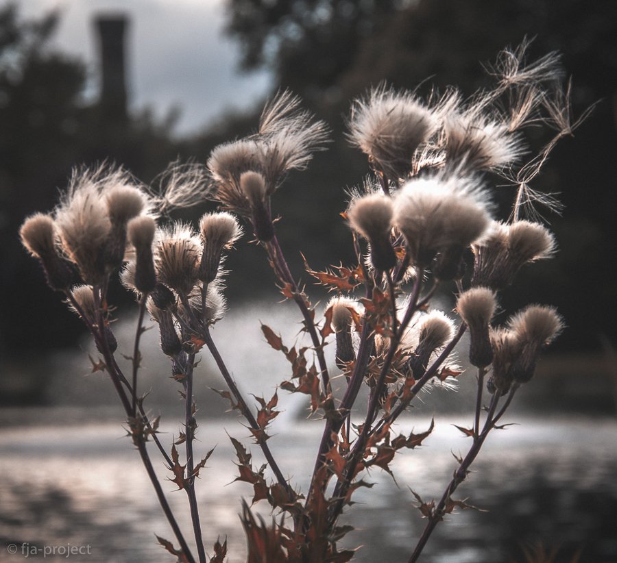 iTiroas's tweet photo. #undersaturated #london #streetdreamsmag #bokeh #igworldclub #createexploretakeover #solot… https://t.co/KifNjoQEe2 https://t.co/pBkgBTsLcT