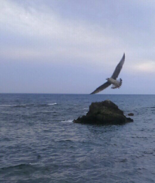 mnemba2013's tweet photo. Bon dia...
"Només és digne de #llibertat qui sap #conquistar-la cada dia"
#Goethe
#Filosofia
#Freedom
#Flyingup https://t.co/h5LQwlzqco