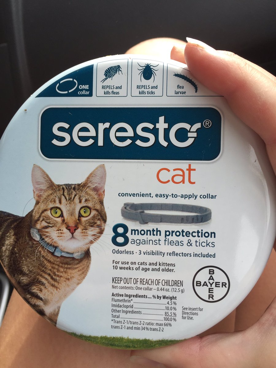 SitterServices9's tweet photo. I LOVE THIS! It works so well and I would recommend it for anyone! #dog #cat #fleacollar #fleatick #animal #pet https://t.co/jpdPY0cOFx