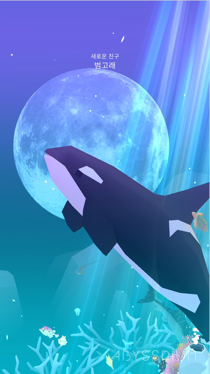 _Kinias's tweet photo. 나의 범고래:) 
#abyssrium
https://t.co/sDAWZlK4NM https://t.co/I7VZI2b1XK