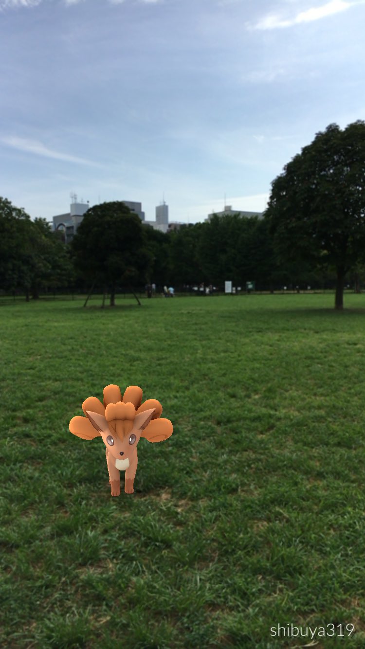 しぶ ポケモンgo 木場公園行ってきた 14 40 15 の40分間にロコン18体ゲットしました ルアーはあまり焚かれておらず殆どポケソース湧き 12 15分滞在 なので捕まえやすい 今から浜町公園でワンリキー集めです ポケモンgo T Co 1kzxry7ztm