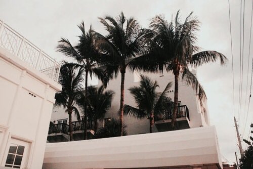 TheANNABABY's tweet photo. Paradise
#twitterpack #pack #aesthetic #moodboard #tumblr #fashion #GIVENCHY #Chanel #KendallJenner https://t.co/YyDHiEIyH4