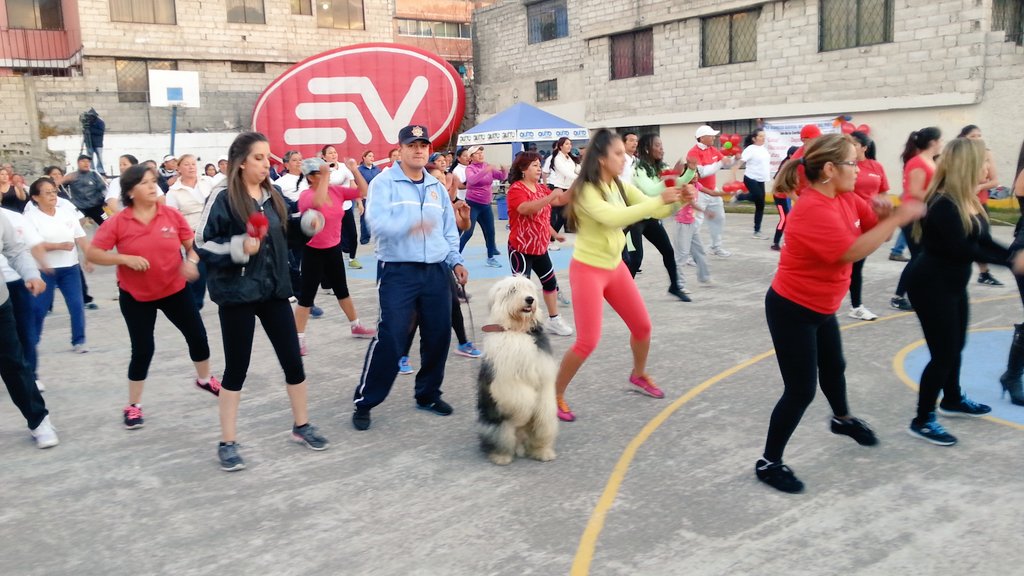 Cuerpo de Agentes de Control Metropolitano tweet media