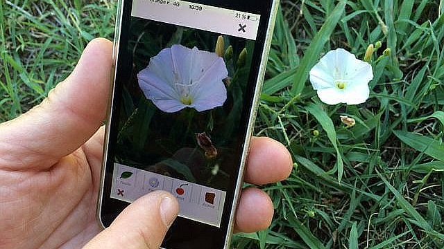 France 3 Occitanie tweet media