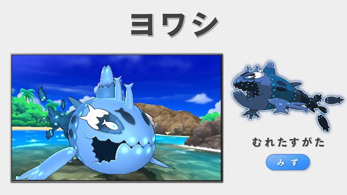 ポケモンメモ 新ポケモン ヨワシ むれたすがた T Co 17ybxy0ann Twitter