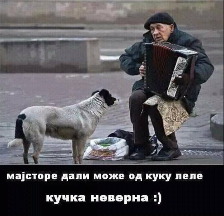 firstalchoholic's tweet photo. ајде мајстореее https://t.co/tJPu9toAfZ