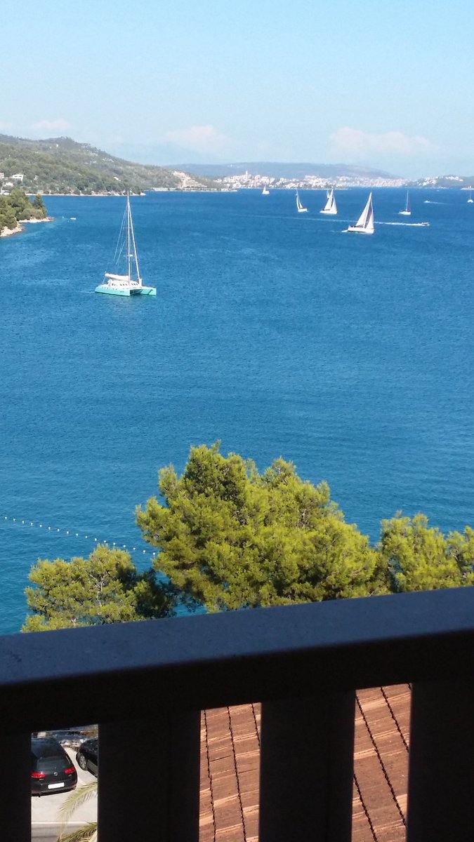 #pogled