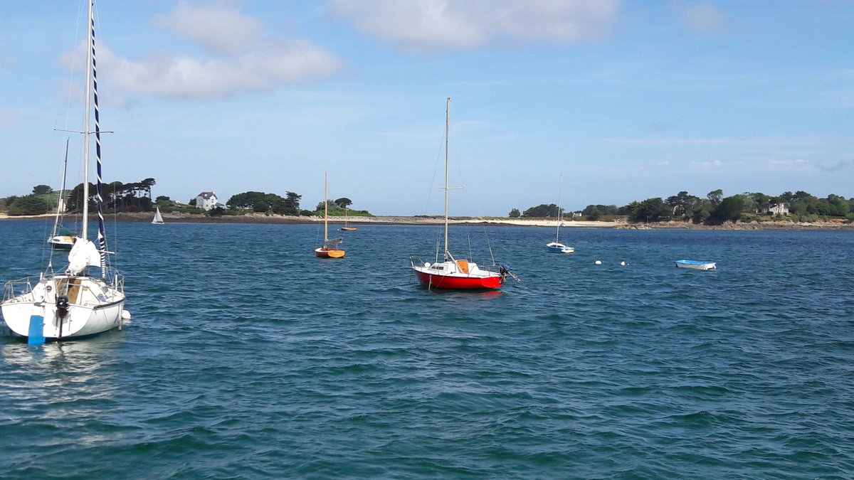GwenRozec's tweet image. Ile #callot baie de #carantec