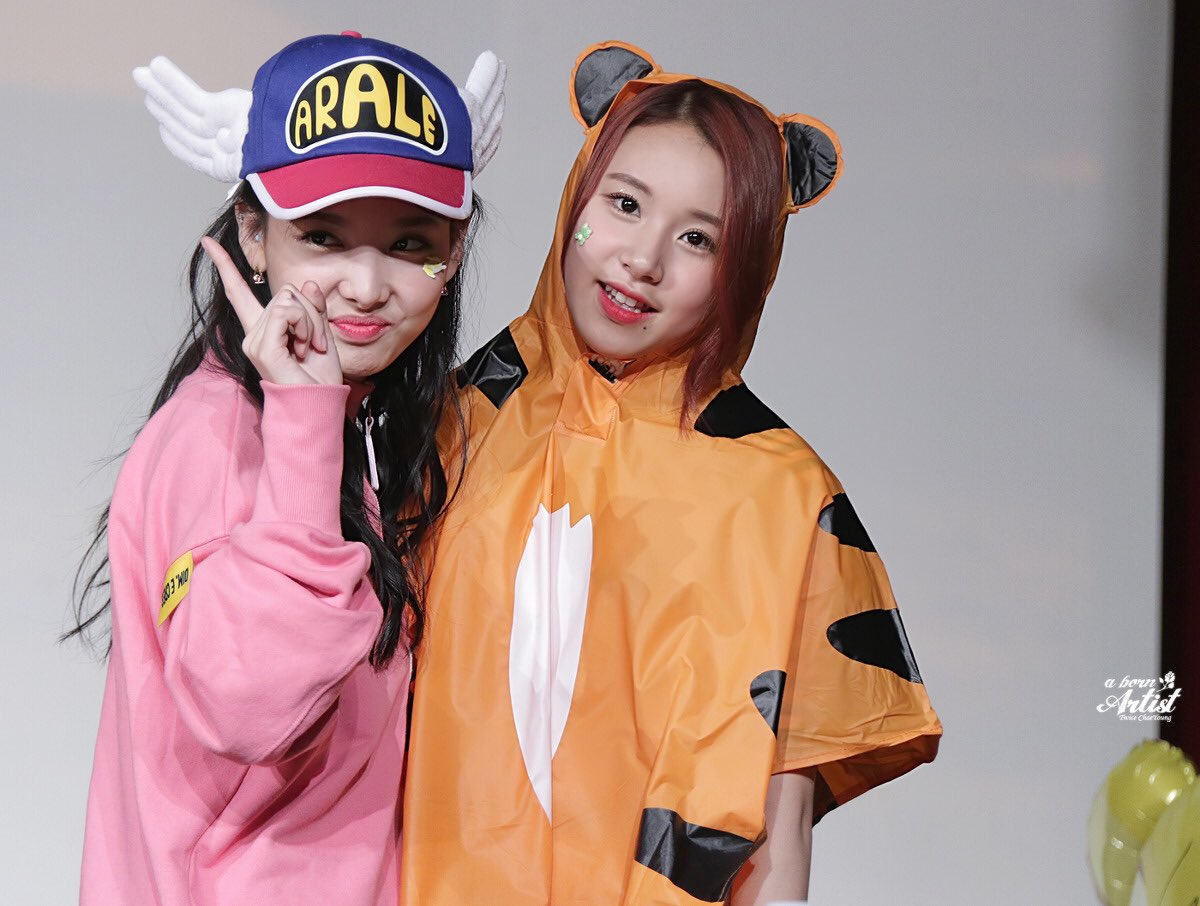 [트와이스] 아기맹수와 사랑에 빠진 토끼 | 인스티즈