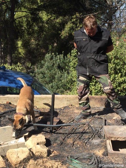 🐶 12 équipes cyno RPAI (recherche de produits accélérateurs d'#Incendie) ds l'Hexagone, un chien mémorise 7 produits