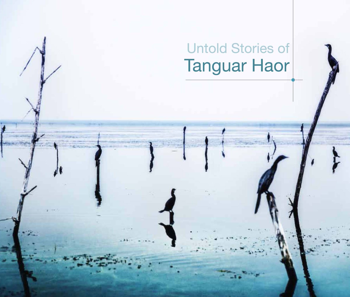 Dr Haseeb Irfanullah | ড. হাসীব ইরফানুল্লাহ্ (@hmirfanullah) on Twitter photo 'Untold Stories of #TanguarHaor' by <a href="/NawazIffat/">Iffat Nawaz</a> - A new book, just before the #IUCNcongress! portals.iucn.org/library/node/4… 'Untold Stories of #TanguarHaor' by <a href="/NawazIffat/">Iffat Nawaz</a> - A new book, just before the #IUCNcongress! portals.iucn.org/library/node/4…