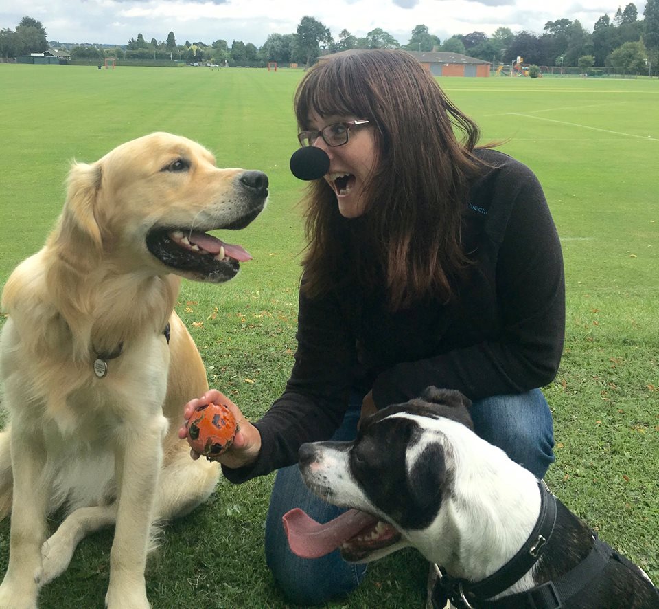 Wetnose Animal Aid tweet media