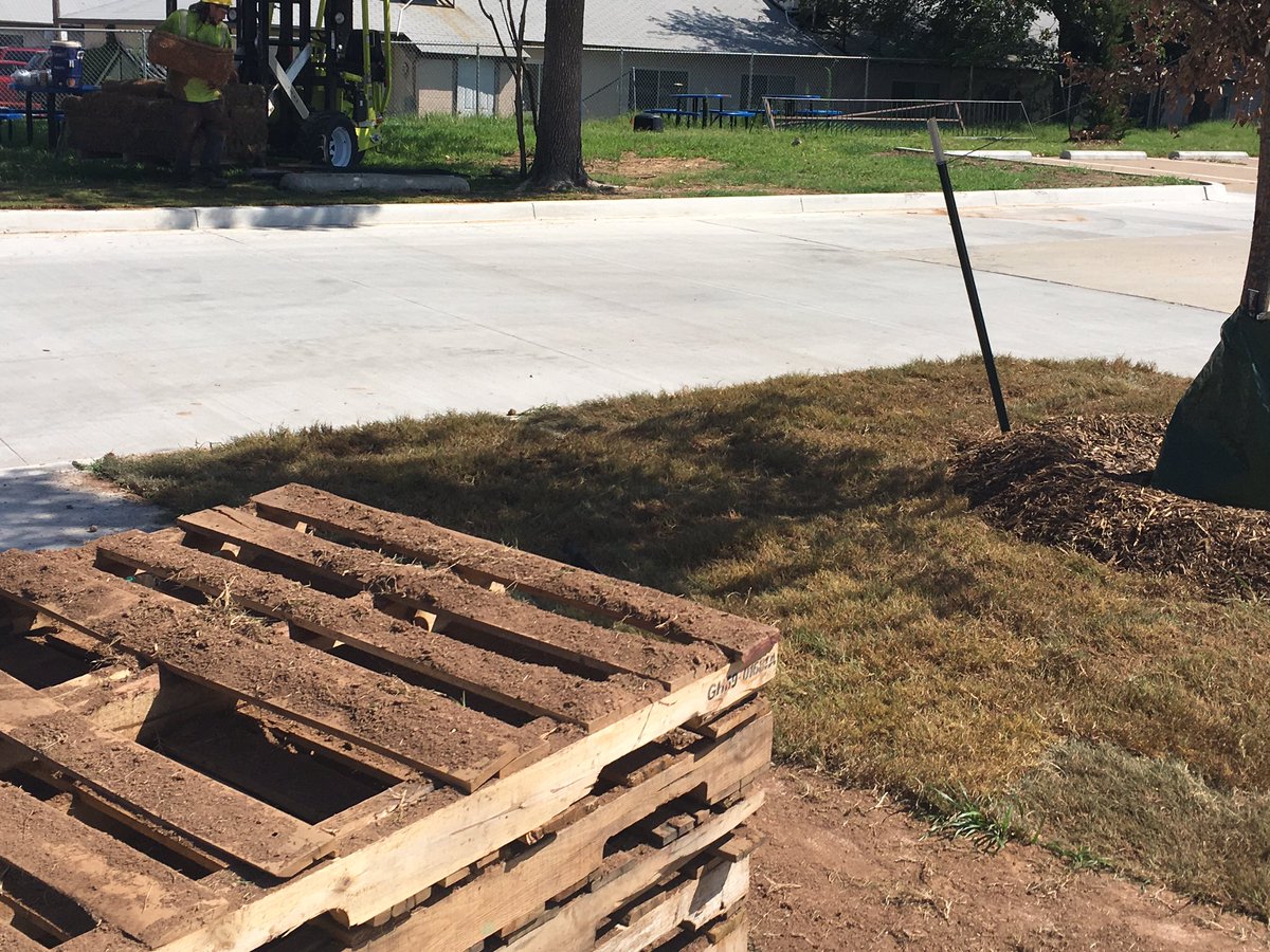 KillerBeesDad's tweet photo. New grass for the kiddos at Sapulpa Middle School. #NewSchoolGrass #Newyard #GoChieftains https://t.co/xt2uqMocZ5