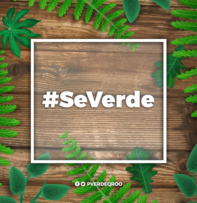 PVerdeQroo's tweet photo. Juntos hagamos un #QuintanaRoo más verde.
#SeVerde https://t.co/VbEVnSlYVl