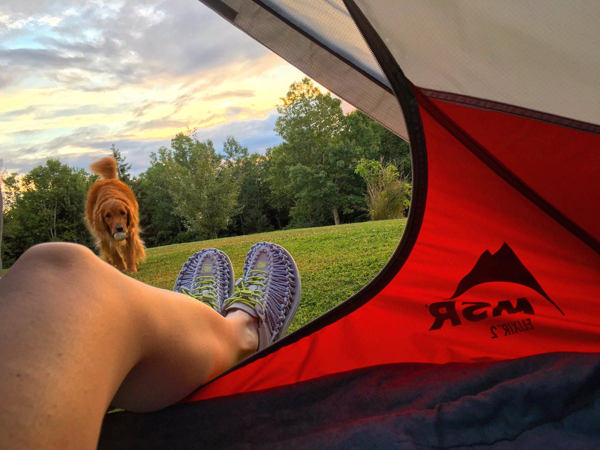maloriec's tweet photo. first night in the new @msrgear #elixir2!! -- @OrvisDogs @KEENCANADA @mec_halifax #mylifeoutdoors #goldenretriever https://t.co/Il8KQSTHf8