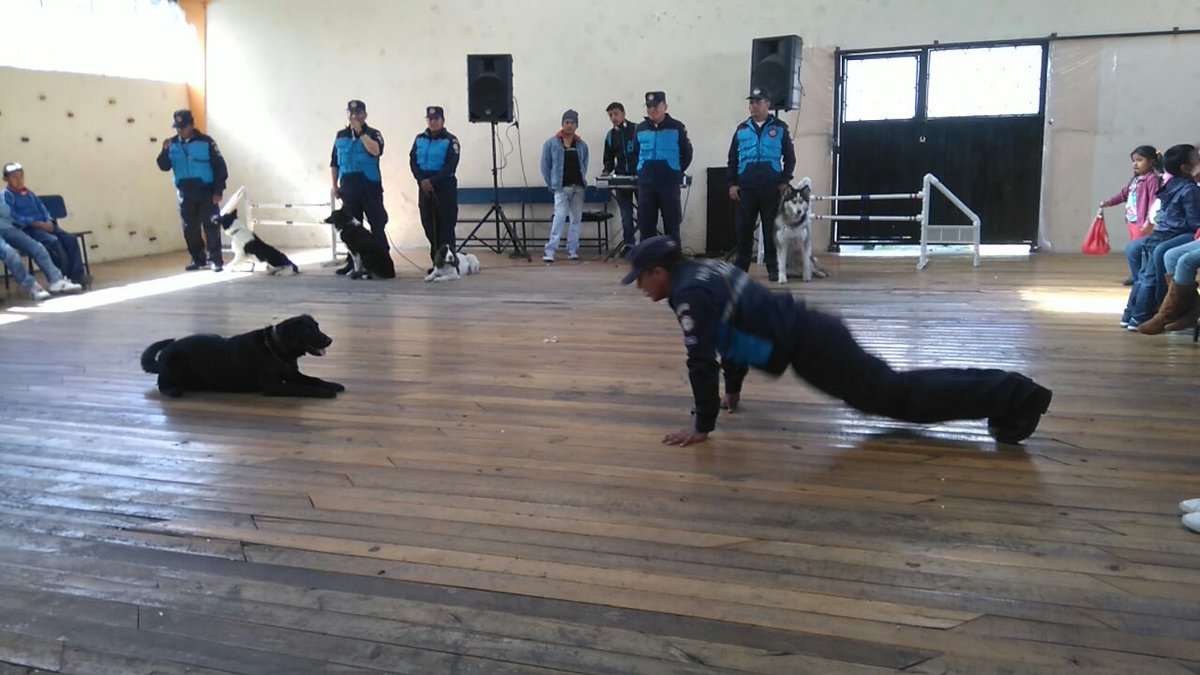 Cuerpo de Agentes de Control Metropolitano tweet media