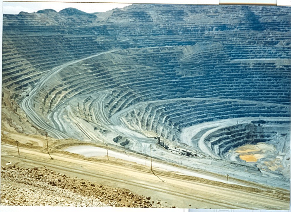 The Daily Coin tweet media