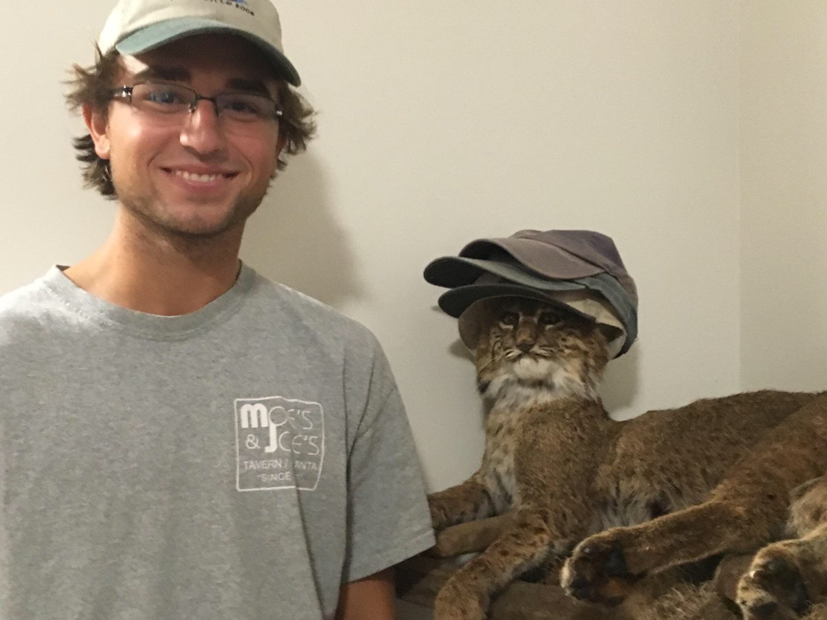 GeorgiaCollege's tweet photo. Clothes: check. Lamp: check. Pillow: check. Bobcat? CHECK. #GCMoveIn2016 #GCSU20 https://t.co/2uji1WKhoj