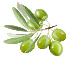 Did you know that olives are also a fermented food product? Attached is a link of how to ferment olives.