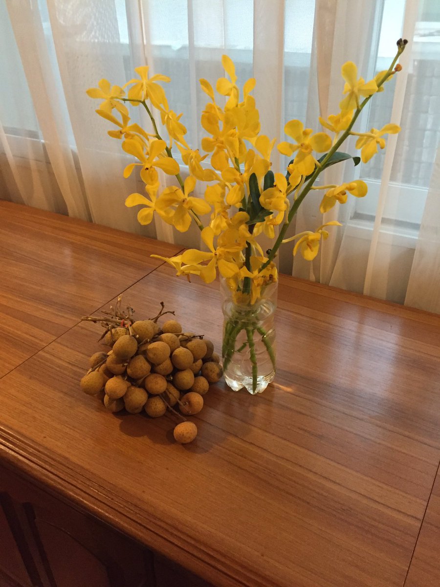 LacyRegaspi's tweet photo. Little treasures from the market the other day, please don't judge me on the vase 😬 #funkyfruits&amp;fancyflowers https://t.co/mz4KrL0H4g