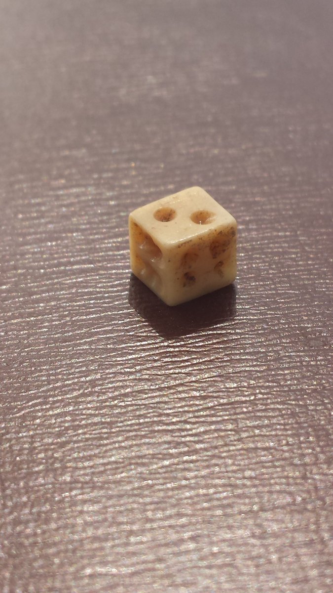TMSifting's tweet photo. I just found a die at our #SiftingProject site. We've not even found 20 in the last 12 years. Amazing! https://t.co/lAR3vwdtWI