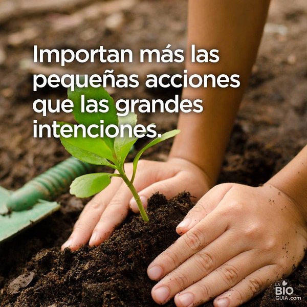 Compramas1's tweet image. Así es...feliz día :) #frasesparalavida #mentepositiva