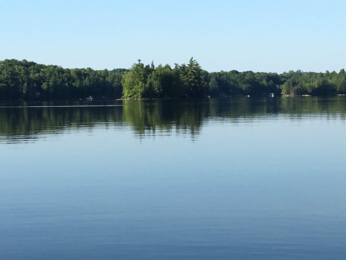 MurraysCottages's tweet photo. Beautiful morning! #landolakes https://t.co/KRXuOW39v6