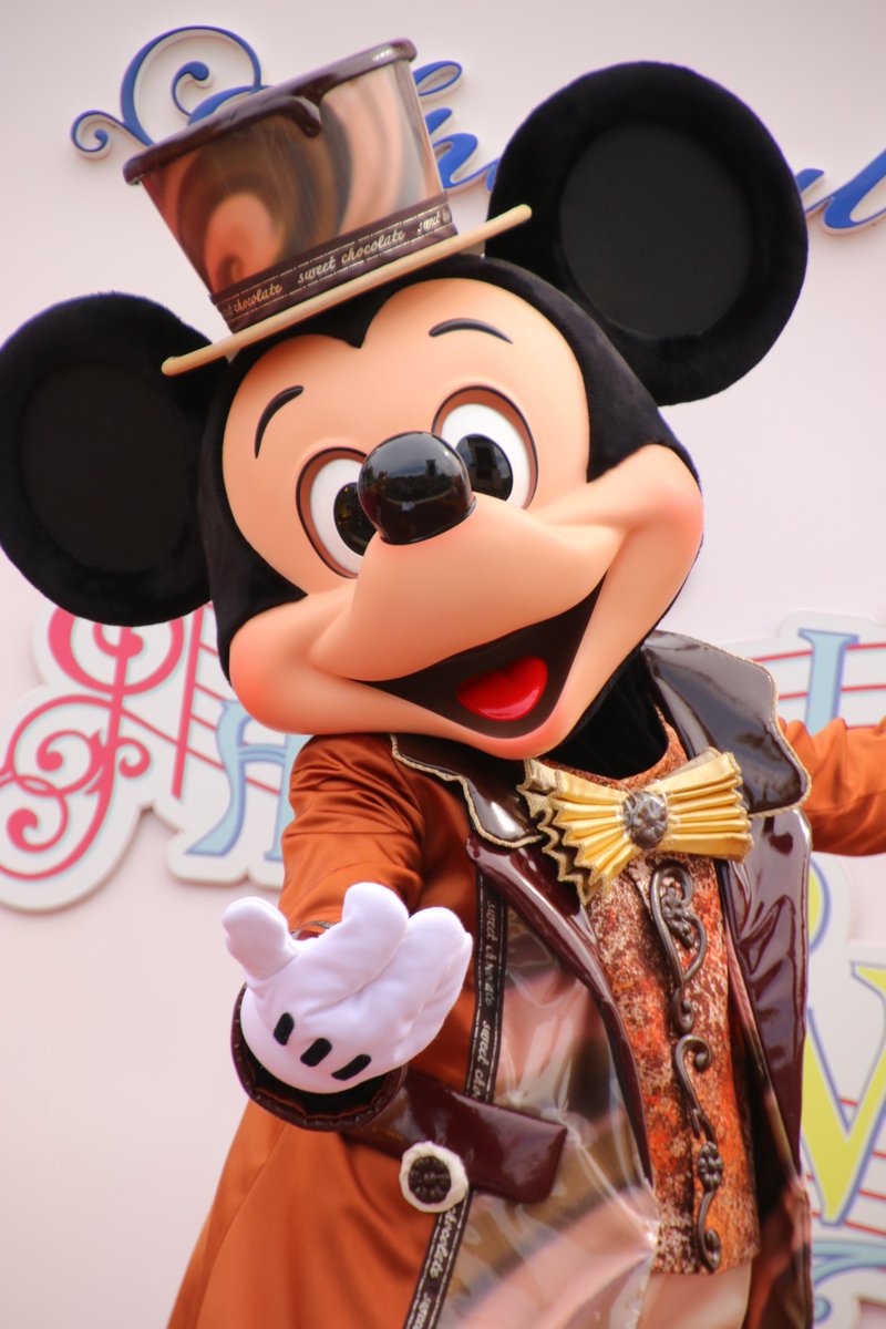 上海ミッキーtdr導入反対