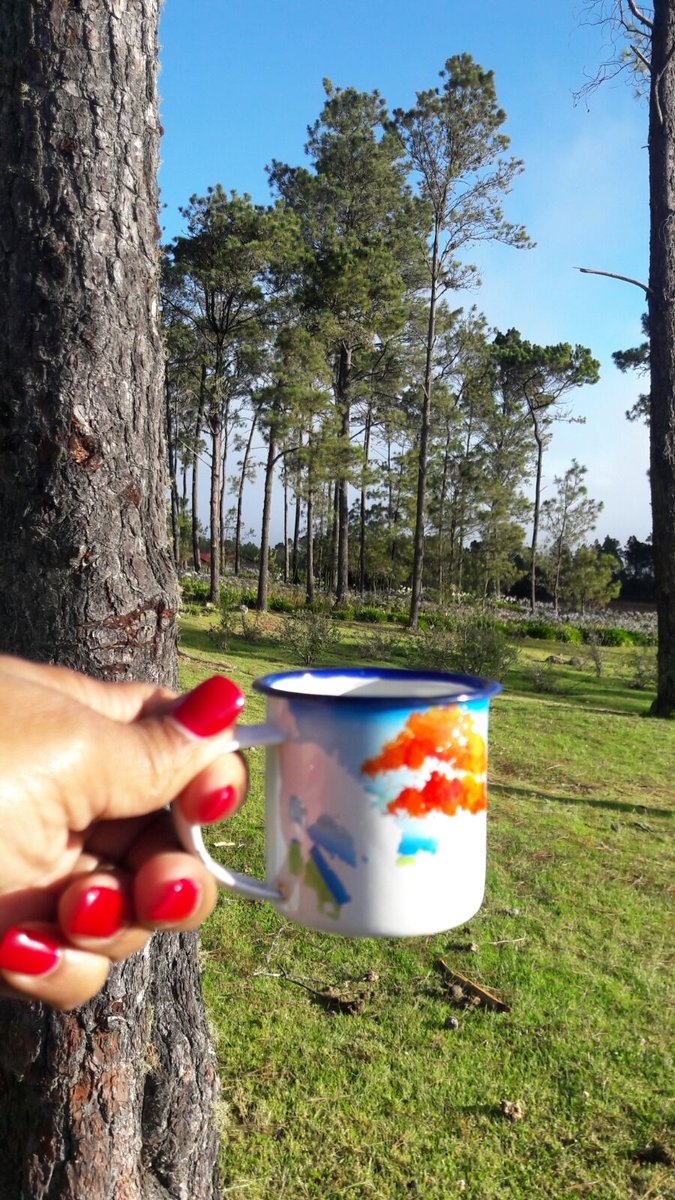 TurismoRD's tweet photo. Que rico es el primer café del día, y alegres por la cercanía del fin de semana. #BendecidoJueves #ConstanzaLoTiene https://t.co/8E23CRcEF3
