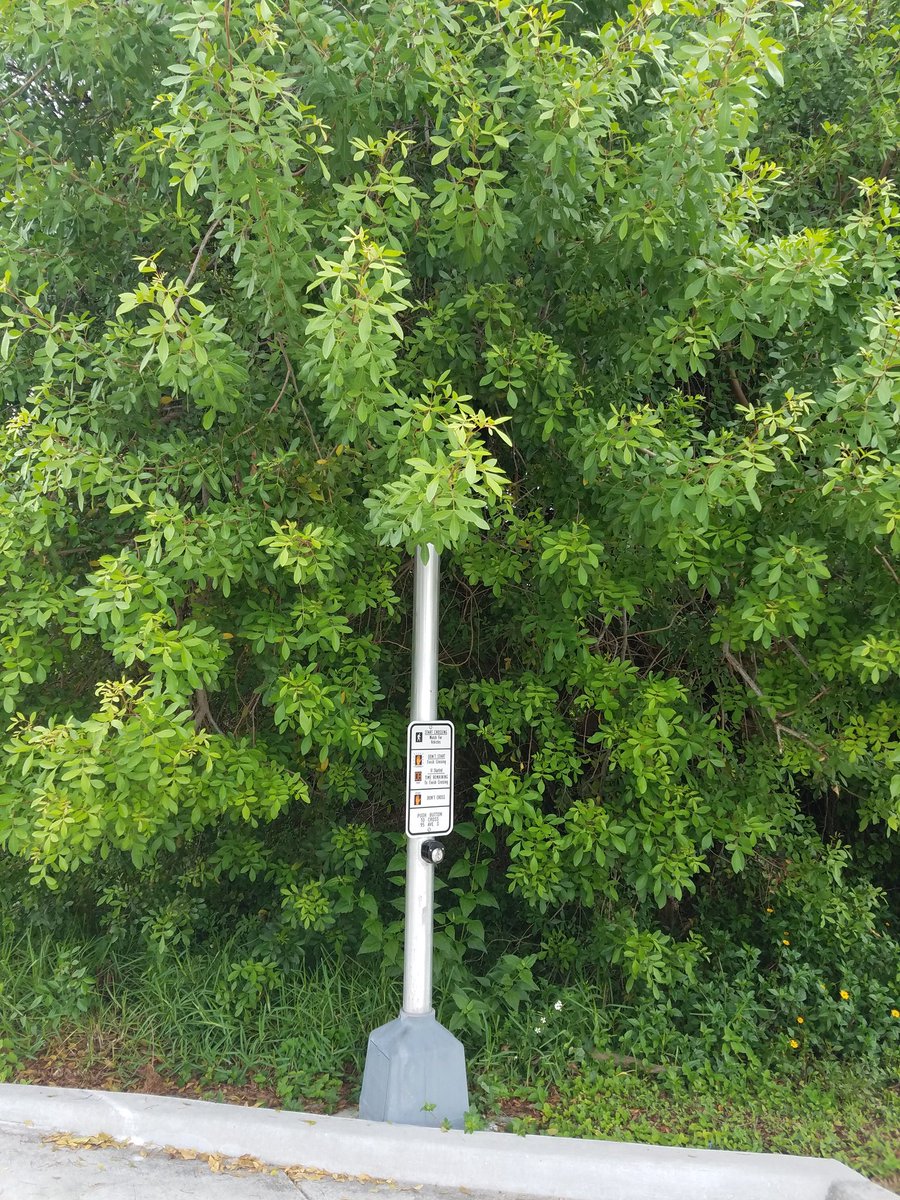 Can you see the traffic light? Glades and 95th Avenue South.