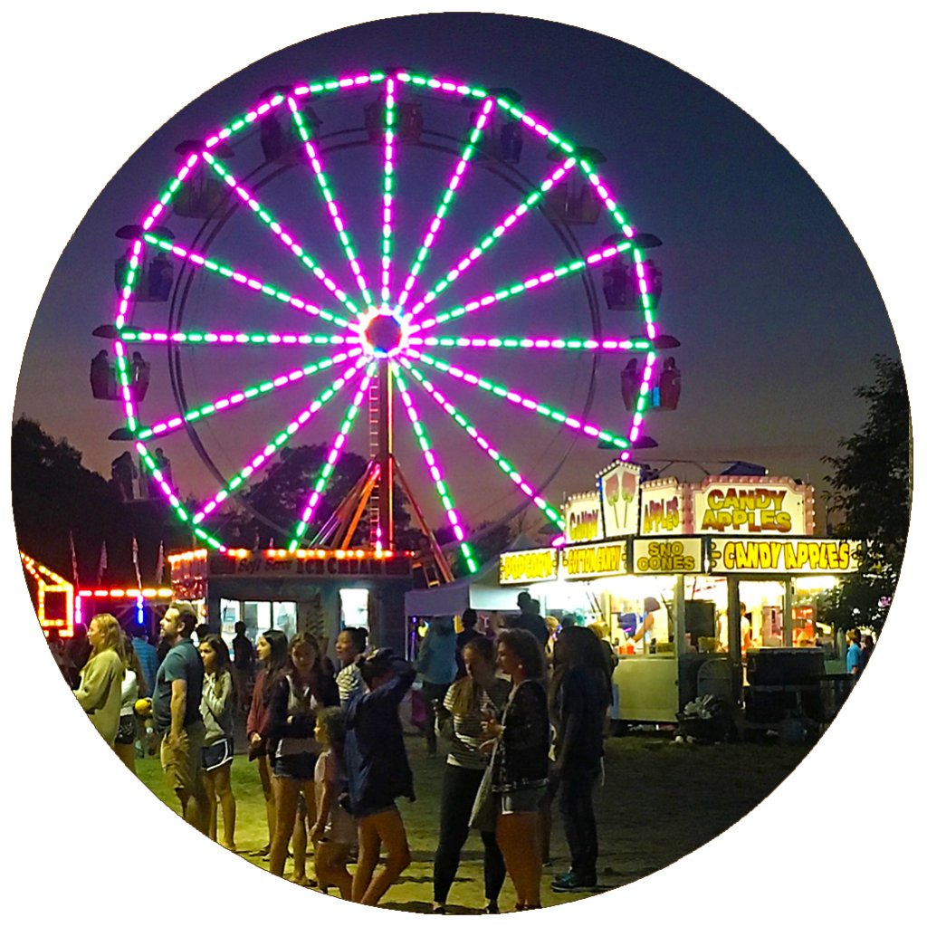 Beachouse tweet media