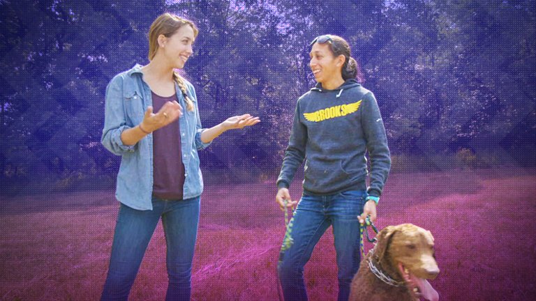 FloTrack's tweet image. A Day in the Life with Olympian @des_linden -&amp;gt; bit.ly/2aNIr2H