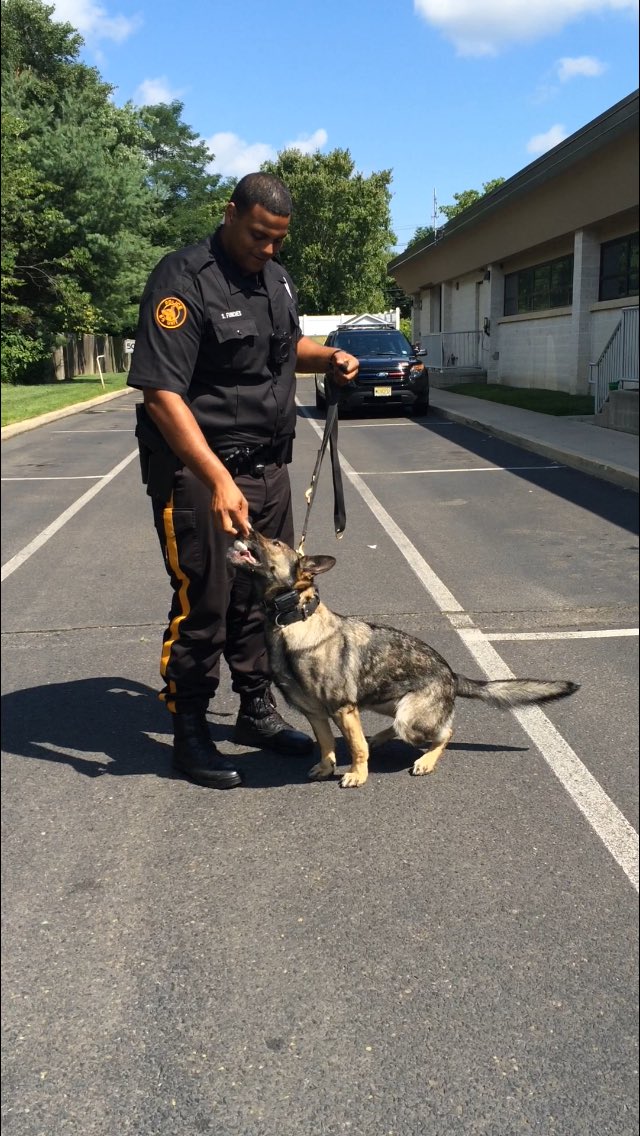 WileyMission's tweet photo. @EveshamPD: ty Sgt Campbell 4 pic. Glad to see K9 EZ enjoying homemade biscuits our Retirement Cmnty residents made. https://t.co/dkuTwiLZyh