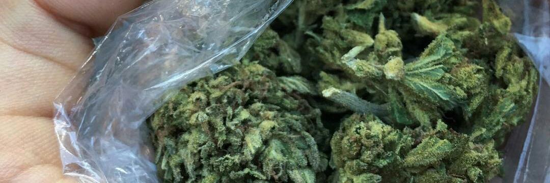 kellywhiteman0's tweet photo. My babies just got home 
quality weed n others available 
Kik: kellywhiteman
Snapchat: kellywhiteman https://t.co/fYps7qPqM7