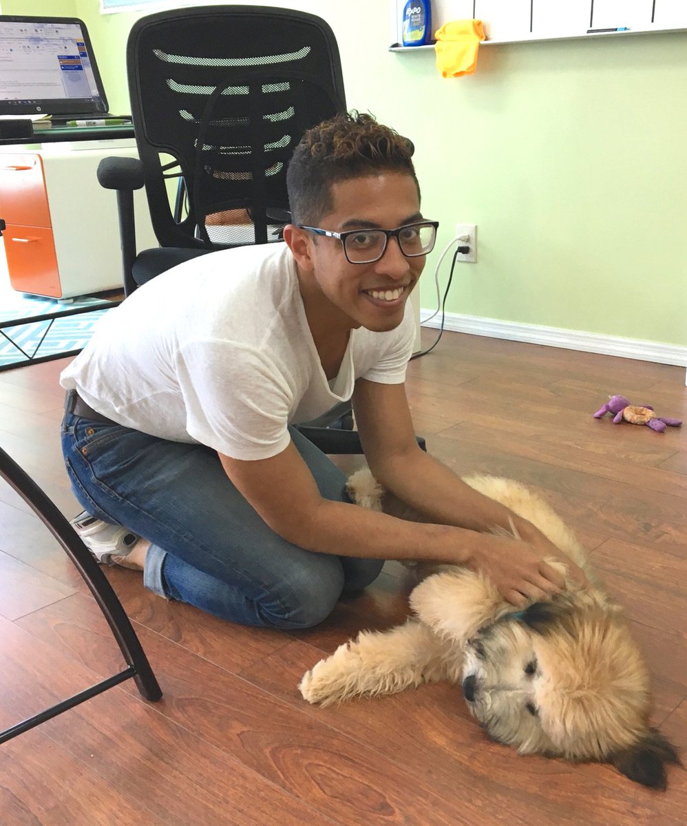 CatalystSolutio's tweet image. Did you know that the Catalyst offices are dog friendly? We love when our pups join us at work!
