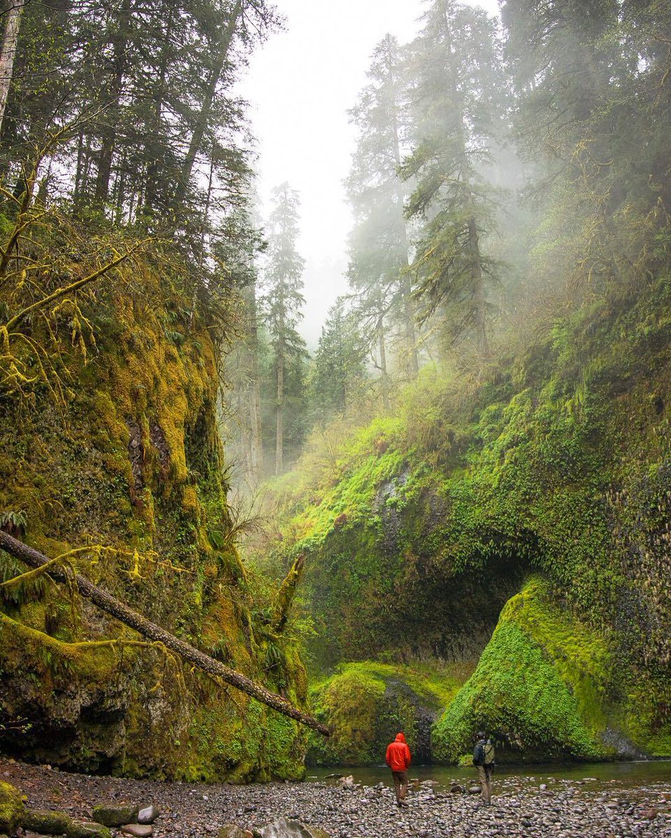 EarthPix: Venturing through the PNW | Photo by chrisburkard  #travel