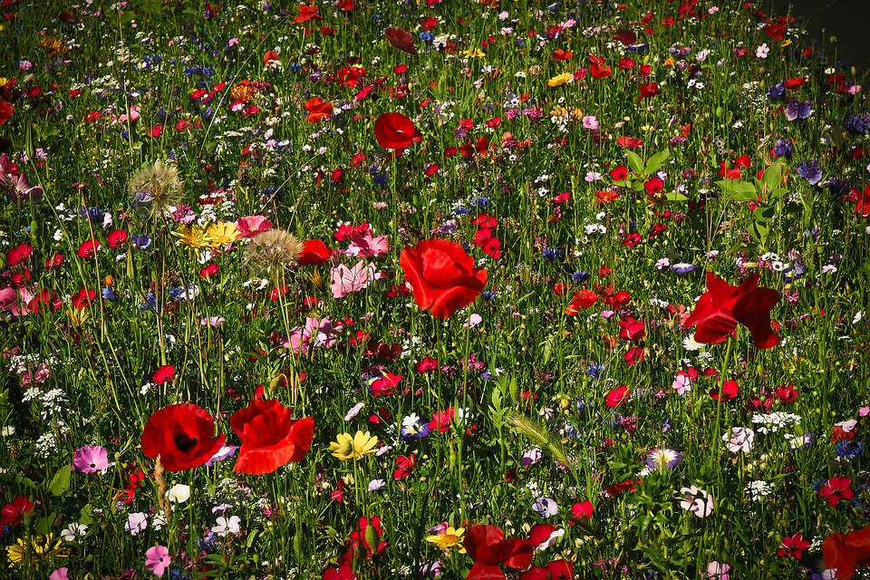 Outside_Design tweet picture
