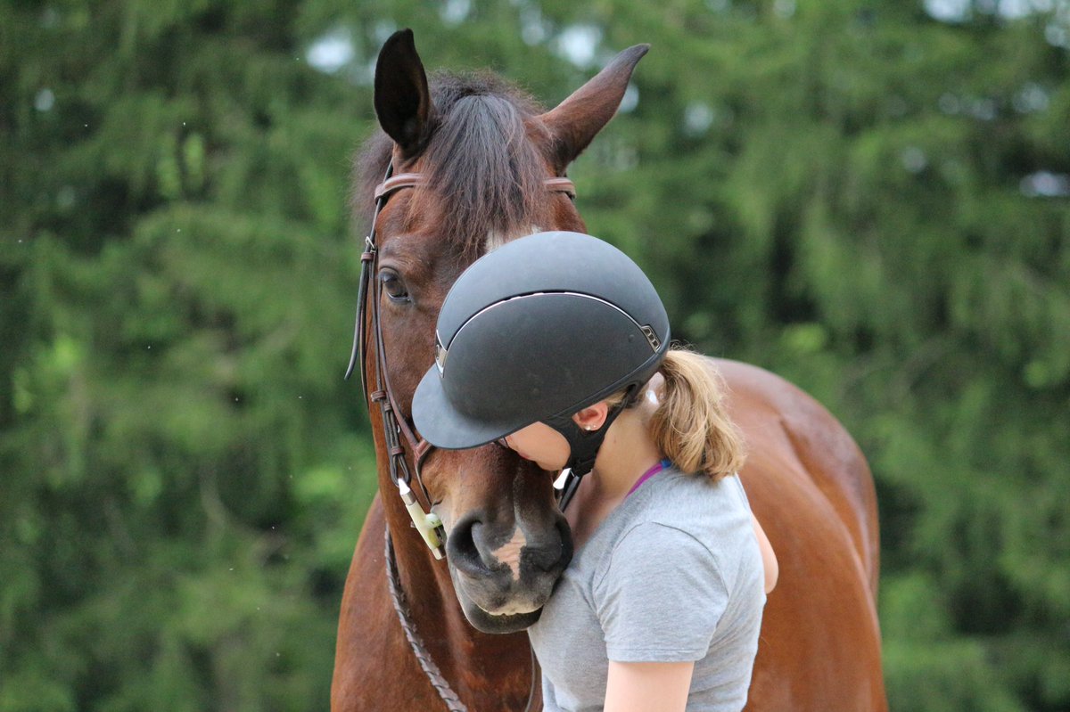 chaotichorsegrl's tweet photo. #SmartPakPhotoFeature because my best friend takes some pretty bomb pictures https://t.co/9rEJZvTs2u