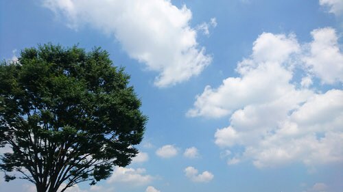 _testlayout's tweet image. 