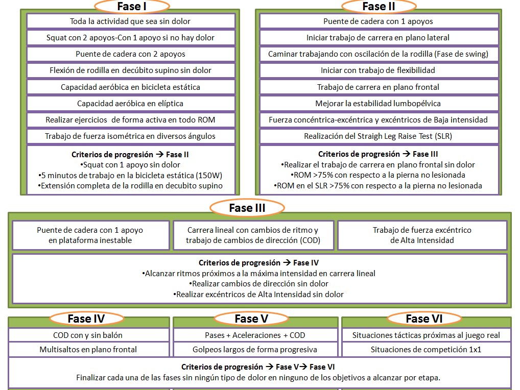 AlvaroPazPF's tweet photo. Fases y objetivos por fase en el "Return to play"  de una lesión de isquiotibiales (Johannes et al., 2014). https://t.co/mOsH2Xsjv0