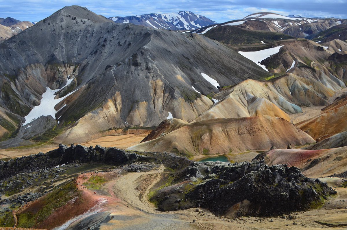 Veronica Labia tweet media