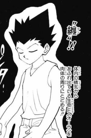 ハンターハンター 水見式とは 診断方法や念能力の系統を徹底紹介 4ページ目 Selvy