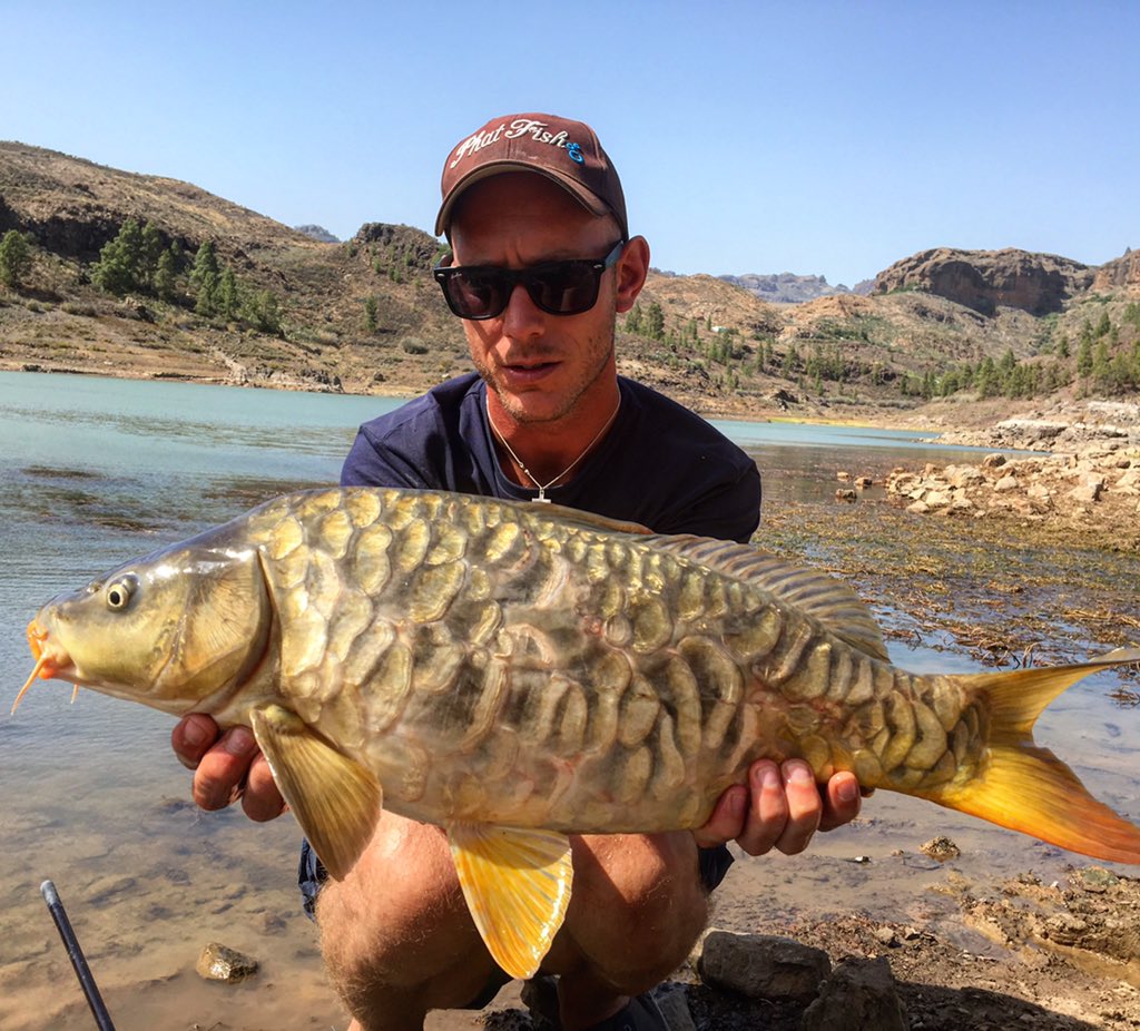 If your trying get hold of carpers paradise via email please send it to carpersparadise1@gmail.com 👌🏻👍🏻 thank you 😎