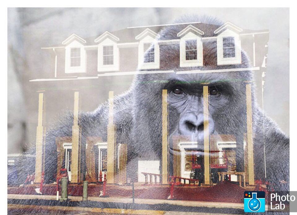 Kappa Alpha Order tweet media