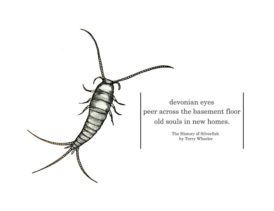 TheBugChicks's tweet photo. A little art and poetry for your Thursday #ScienceandArt. Sketch by #TheBugChicks https://t.co/gyZ2fCP7yR