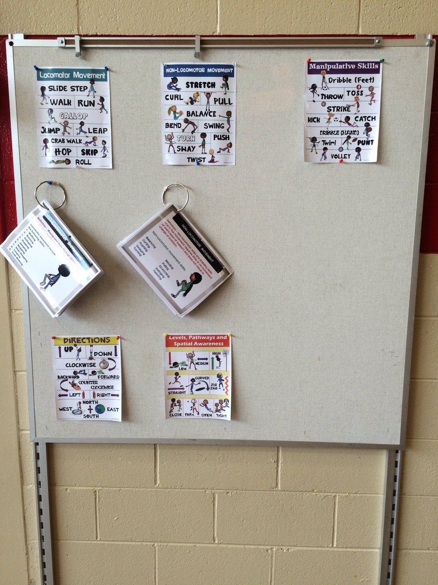 BulldogsPE's tweet photo. Word walls starting to take shape!!  #LearningInTheGym #TrialRun https://t.co/g688pH5Eo9