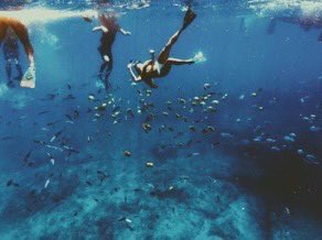 ButDansLaVie's tweet photo. L'endroit où j'aimerais être en ce moment 🌊😏 https://t.co/1LYupJtGAv
